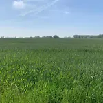 In Near Marina * Nieuwpoort