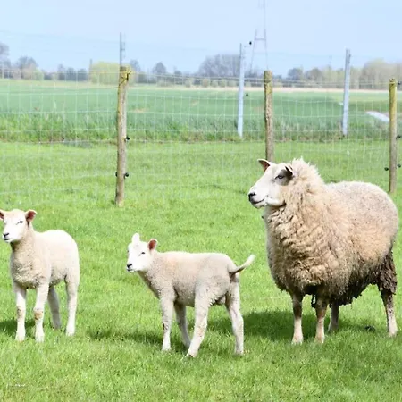 In Near Marina Nieuwpoort