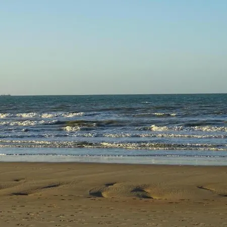 In Near Marina