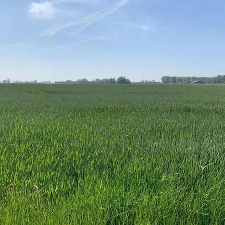 In Near Marina * Nieuwpoort