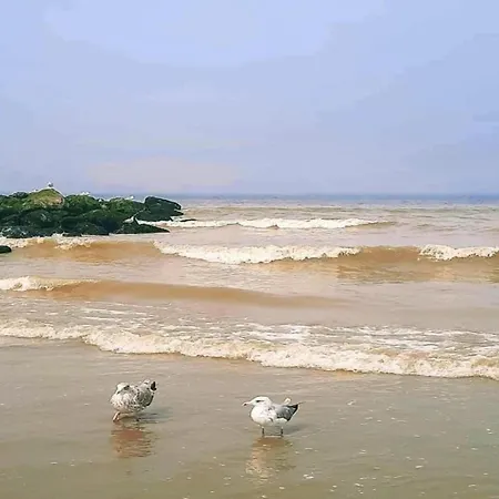 公寓 In Near Marina